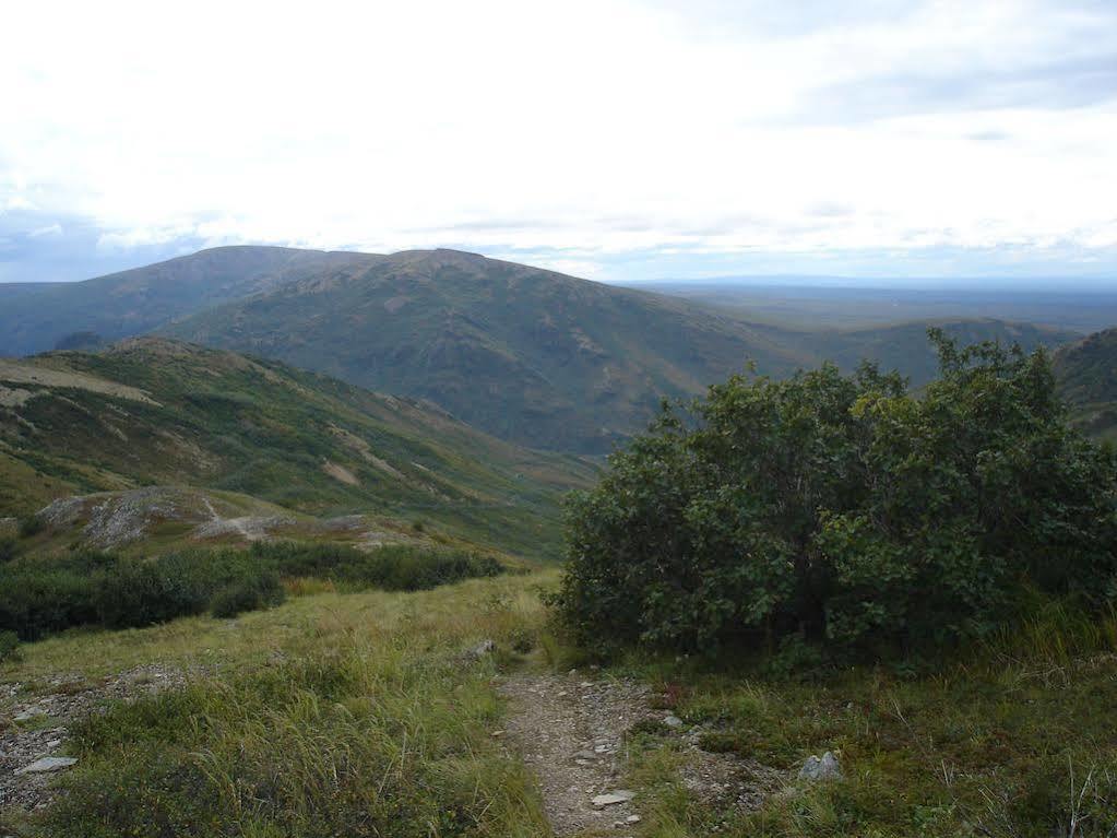 Denali Backcountry Lodge Экстерьер фото